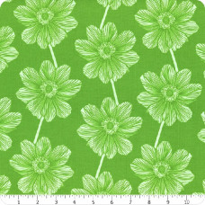 AMT Anemone - Grass AMT Anemone - Grass